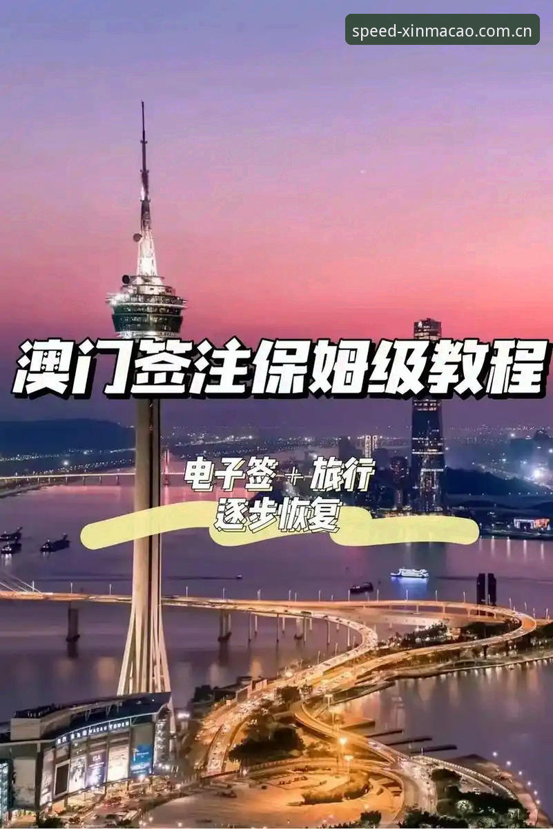 新澳门游戏网站入口中文官网新版首页教程：从入口到数据的完整使用指南